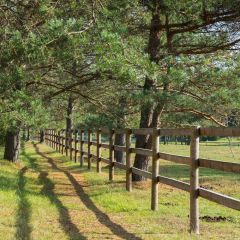 75mm x 1.65m (3" x 5' 4") Premier Platinum Machined Round Fence Stake