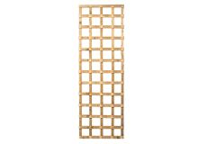 6ft x 2ft Heavy Duty Trellis Panel, Green Treated