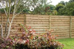 1.8m (6ft) Europa Plain Fence Panel