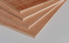 12mm Eucalyptus Hardwood Plywood