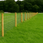 150mm - 175mm x 2.40m (6" - 7" x 8') Premier Platinum Cundy Peeled Stake