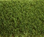 Blakeney Artificial Grass