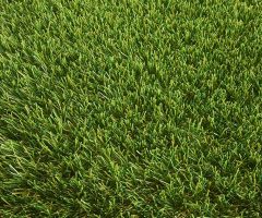 Clumber Artificial Grass