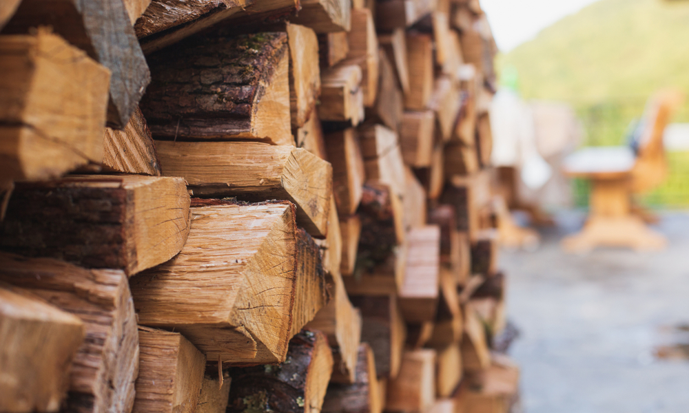 How Firewood Can Make Your Home Cosy this Winter