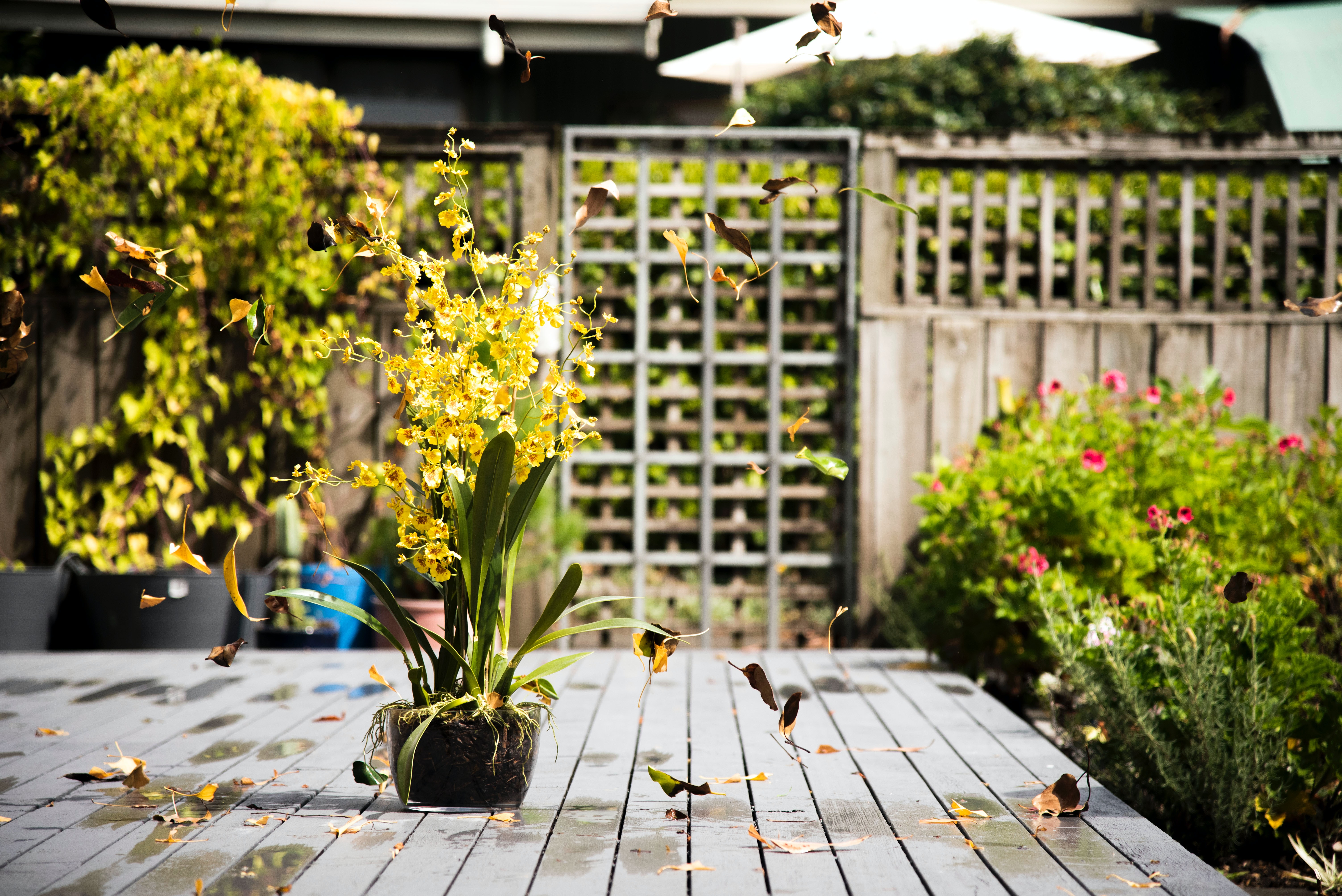8-Ways-Landscaping-can-Improve-Your-Home